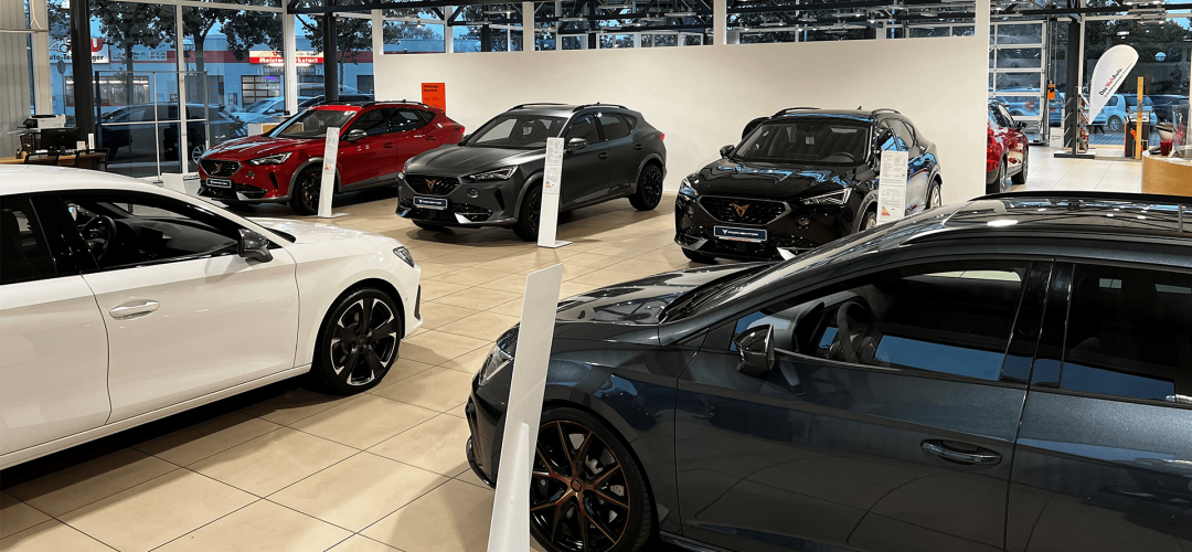 Innenbereich Cupra 1